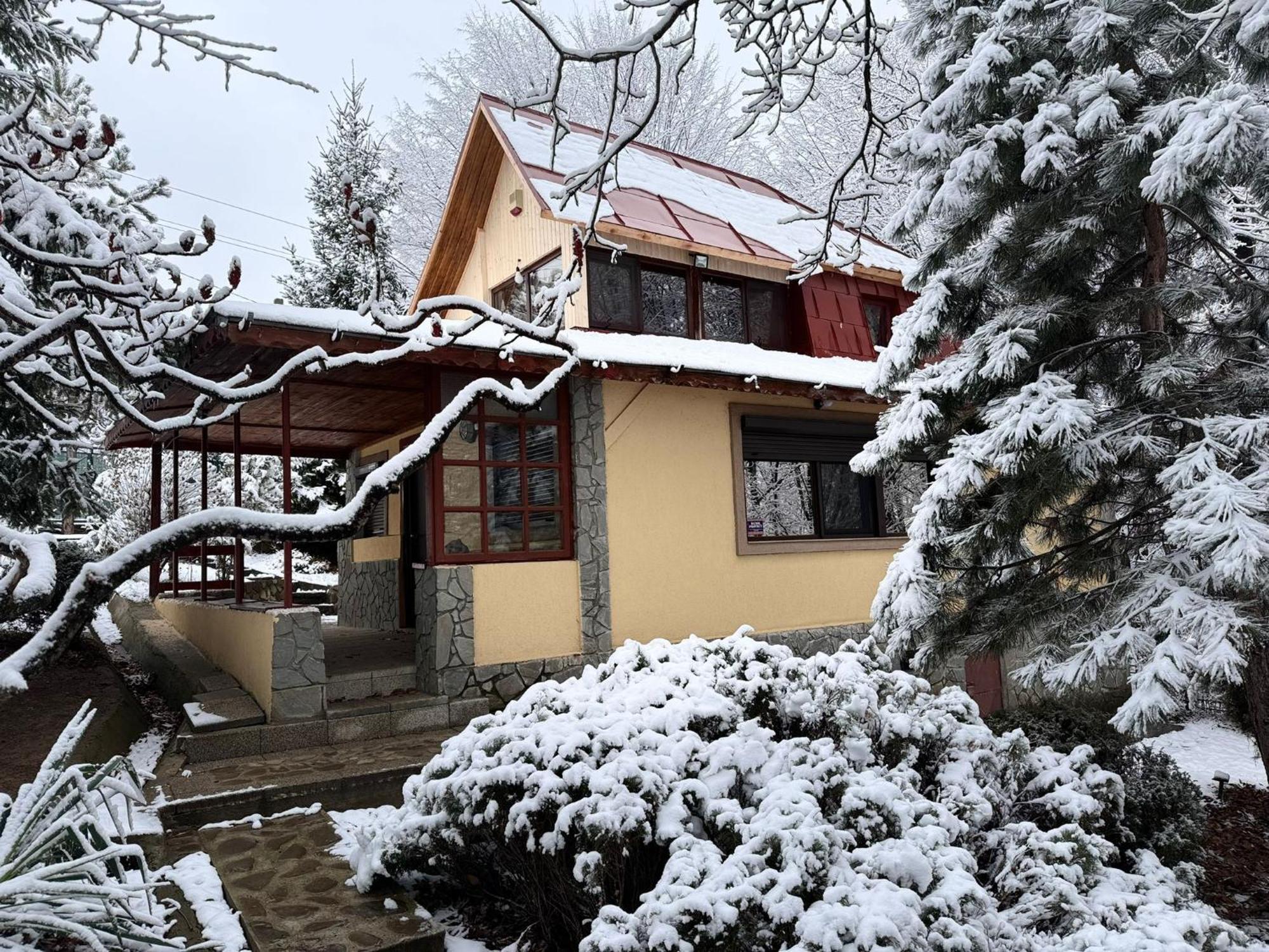 Cabana Din Padurea Valeni วาเลนี เด มุนเต ภายนอก รูปภาพ